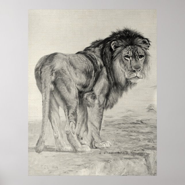 Vintag Majestic Lion Poster (Vorne)
