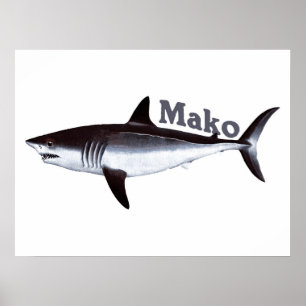 Vintag Mako Shark Poster