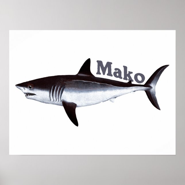 Vintag Mako Shark Poster (Vorne)