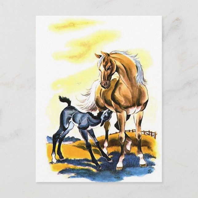 Vintag Mare Colt Filly Pferde Reittier Postkarte (Vorderseite)