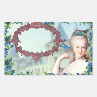Vintag Marie Antoinette Stickers