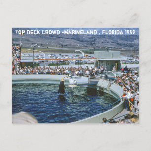 Vintag Marineland Florida Postkarte