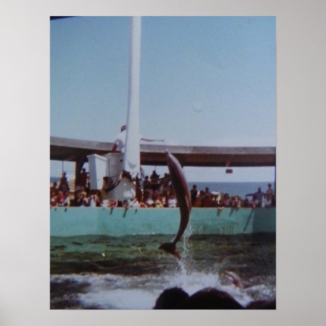 VINTAG MARINELAND POSTER (Vorne)