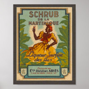 Vintag-Martinique-Reiseposter Poster