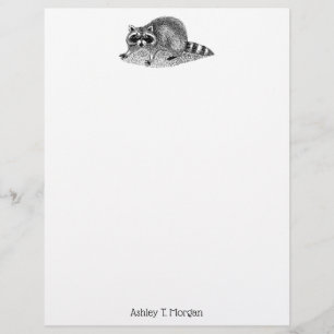 Vintag Masked Raccoon