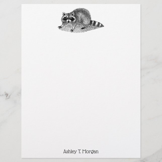 Vintag Masked Raccoon (Vorderseite)