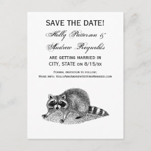 Vintag Masked Raccoon Ankündigungspostkarte