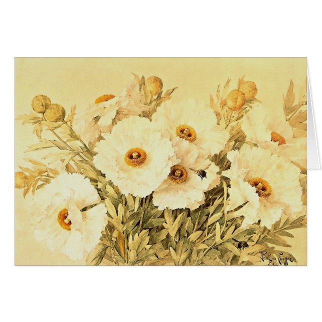 Vintag Matilija Poppies (Vorderseite (Horizontal))