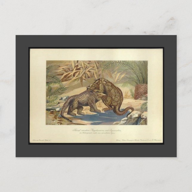 Vintag Megalosaurus VS Iguanodon Postcard Postkarte (Vorderseite)