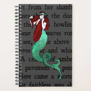 Vintag Mermaid Planer