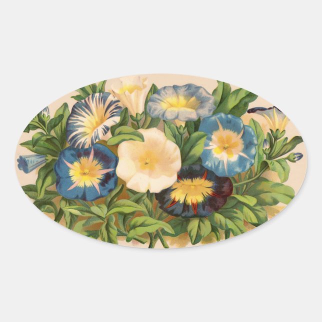 Vintag Morning Glory Ovaler Aufkleber (Vorderseite)