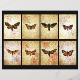 Vintag Moth ATC Scrapbook Cards
