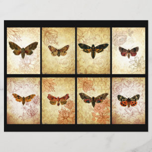 Vintag Moth ATC Scrapbook Cards