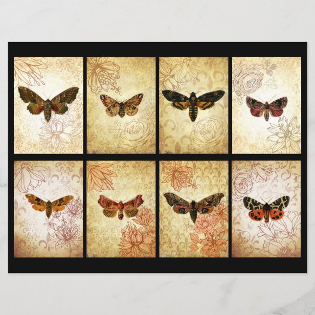 Vintag Moth ATC Scrapbook Cards (Vorderseite)