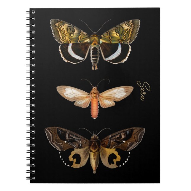 Vintag Moth Butterfly Personalisiertes Notebook Notizblock (Vorderseite)