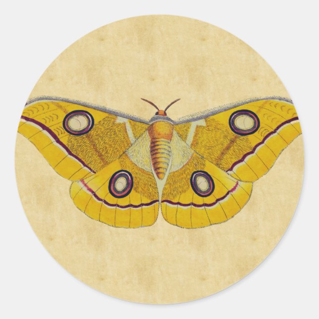 Vintag Moth Runder Aufkleber (Vorderseite)