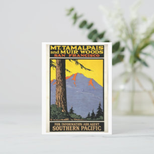 Vintag Muir Woods & Mt Tamalpais  Postkarte