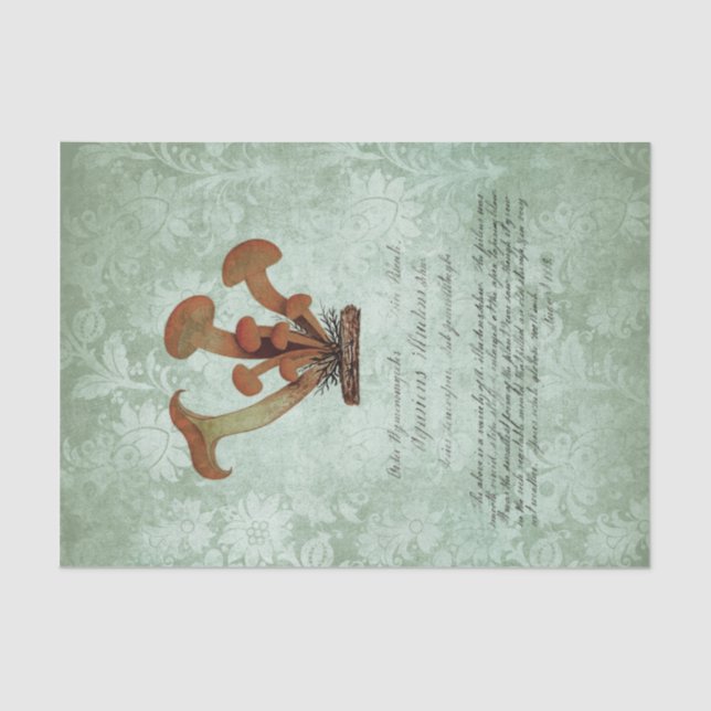 Vintag Mushroom Ephemera Seidenpapier (Vorderseite)