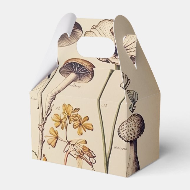 Vintag Mushroom Naturalist Geschenkschachtel (Vorderseite)