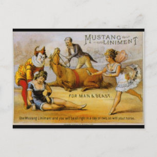 Vintag Mustang Liniment Postkarte