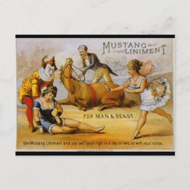Vintag Mustang Liniment Postkarte (Vorderseite)