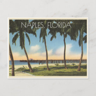 Vintag Neapel, Blick auf den Golf von Florida Postkarte