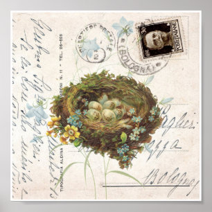 Vintag Nest Blume Italienische Postkarte Poster