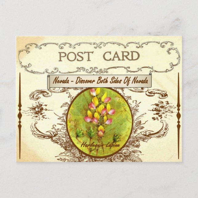 Vintag Nevada Staat Blume Postkarte (Vorderseite)