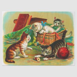 Vintag Niedliche Schwarz-weiße Orange Kittens Deco Seidenpapier