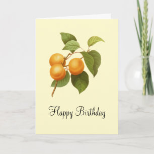 Vintag Orange Apricots Aquarell Geburtstag Karte