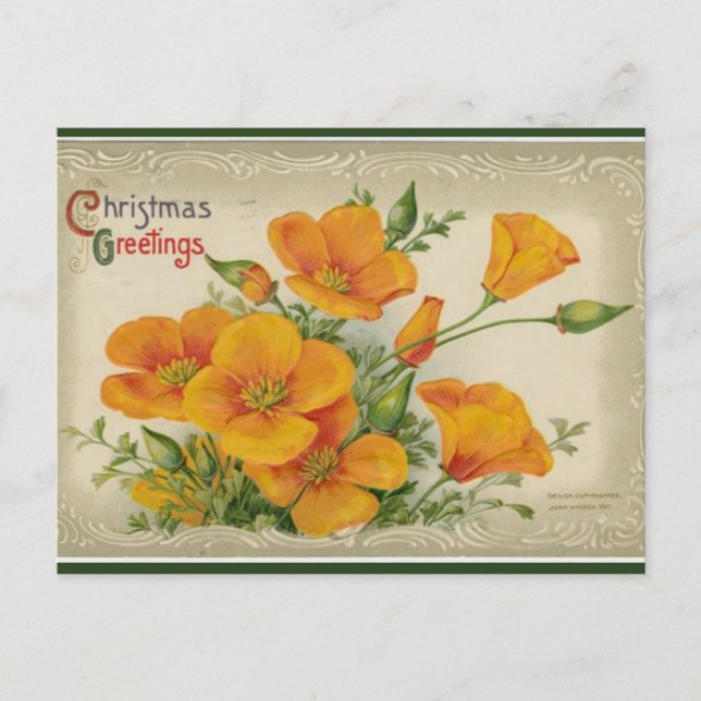 Vintag Orange Blume Weihnachten Postkarte (Vorderseite)