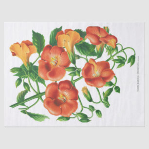 Vintag-orange-gelbe Blume Seidenpapier