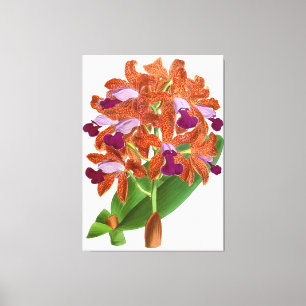 Vintag Orange Lila Orchid Blume - Canvas Print Leinwanddruck