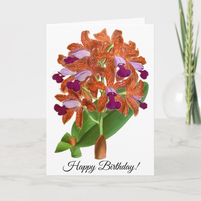 Vintag Orange Lila Orchid Blume Karte (Vorderseite)