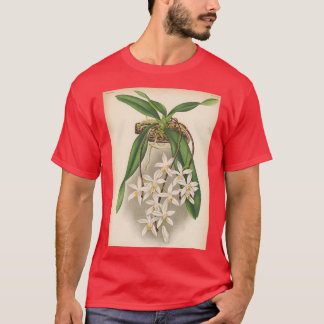 Vintag Orchid Print Sarcochilus unguiculatus 1887 T-Shirt