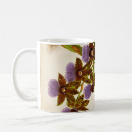 Vintag Orchids Lindenia Zygopetalum Gautieri Kaffeetasse