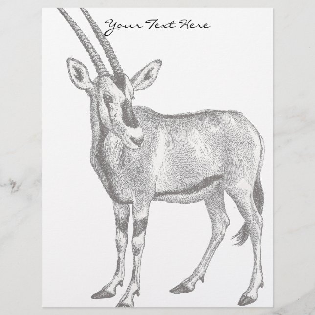 Vintag Oryx Letterhead (Vorderseite)
