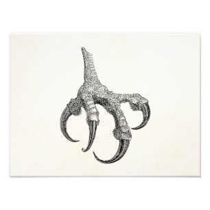 Vintag Osprey Claw Personalisiert Retro Bird Cases Fotodruck