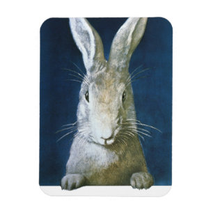 Vintag Osterhase, Niedliches Furtweinkaninchen Magnet