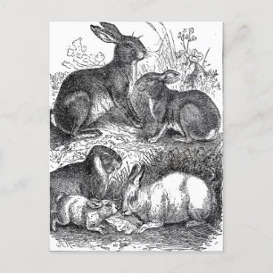 Vintag Ostern Postkarte