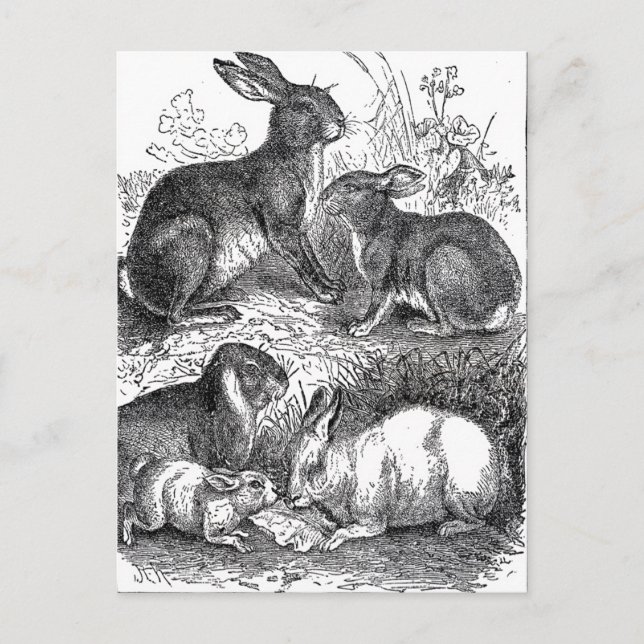 Vintag Ostern Postkarte (Vorderseite)