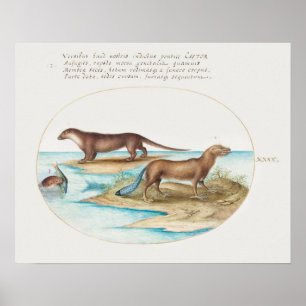 Vintag Otters Poster