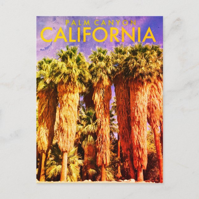 Vintag Palm Canyon Travel Postkarte (Vorderseite)