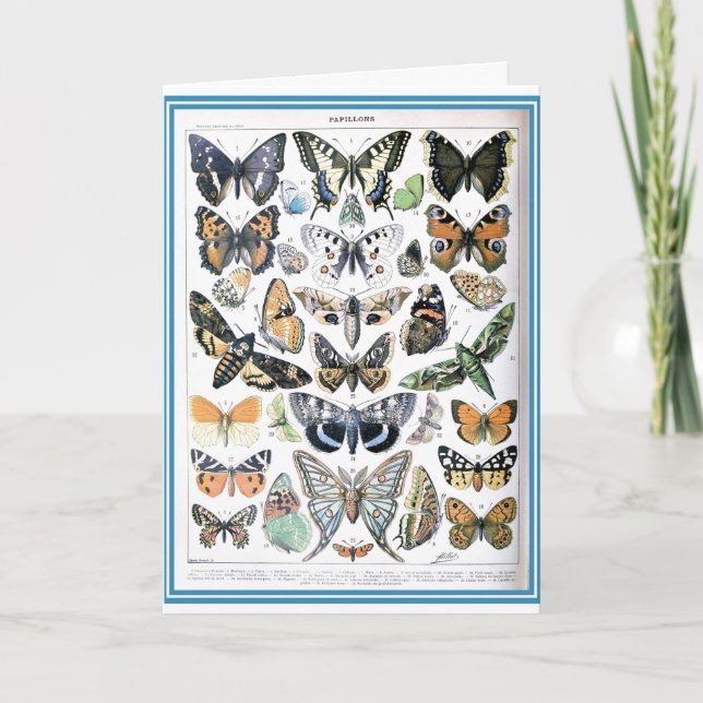 Vintag Papillon Butterflies Illustration Art Karte (Vorderseite)