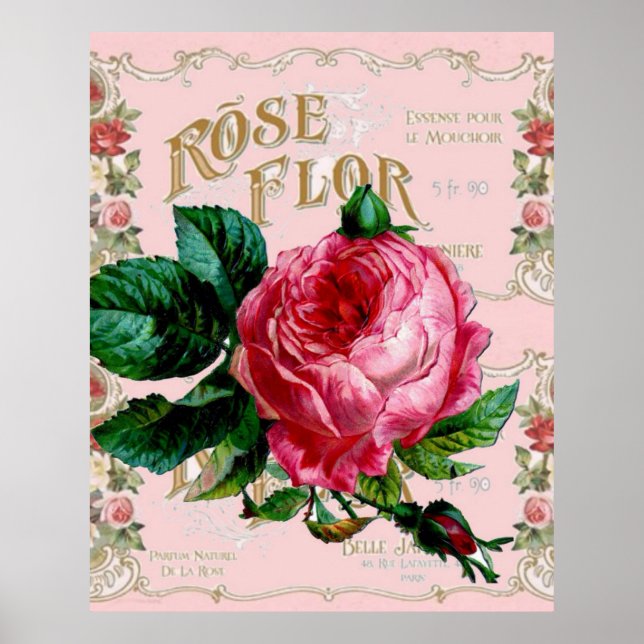 Vintag Paris Rosa Rose Mode, hübsche Blumenkunst Poster (Vorne)