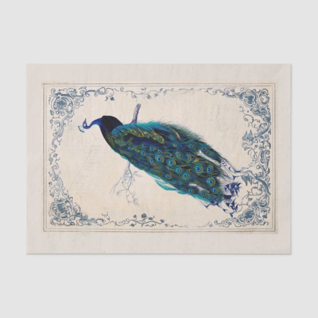 Vintag Peacock Blue Bird Frame Decoupage Seidenpapier (Vorderseite)