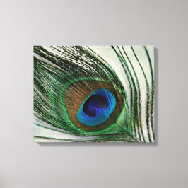 Vintag Peacock Feather Leinwanddruck