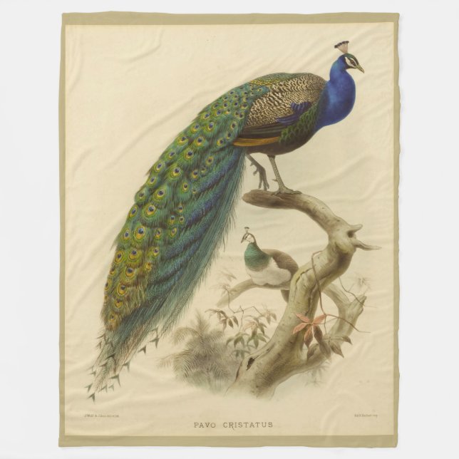 Vintag Peacock Fleece Blanket (Vorderseite)