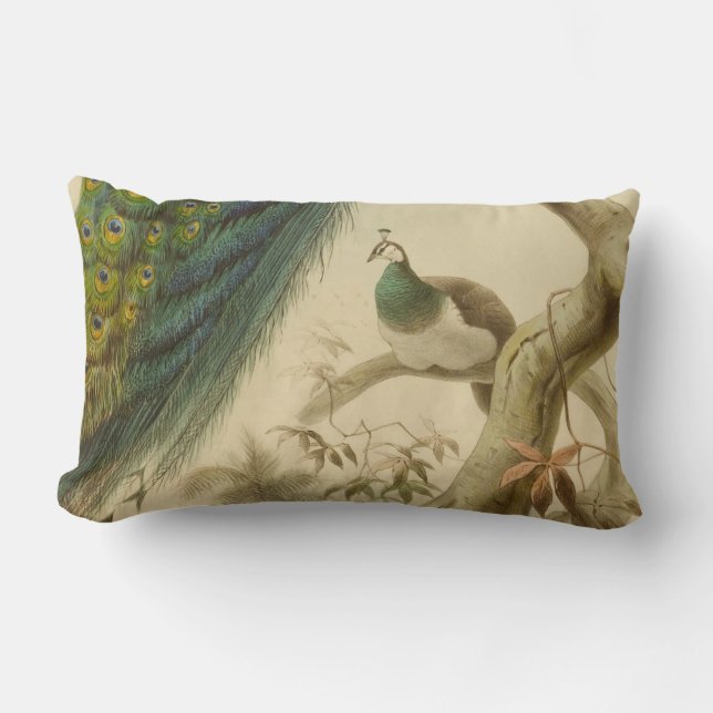 Vintag Peacock Lumbar Pillow Lendenkissen (Vorderseite)