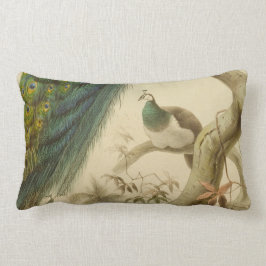 Vintag Peacock Lumbar Pillow Lendenkissen